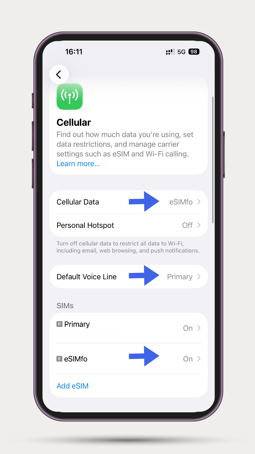 Apple सेलुलर सेटिंग्स स्क्रीन