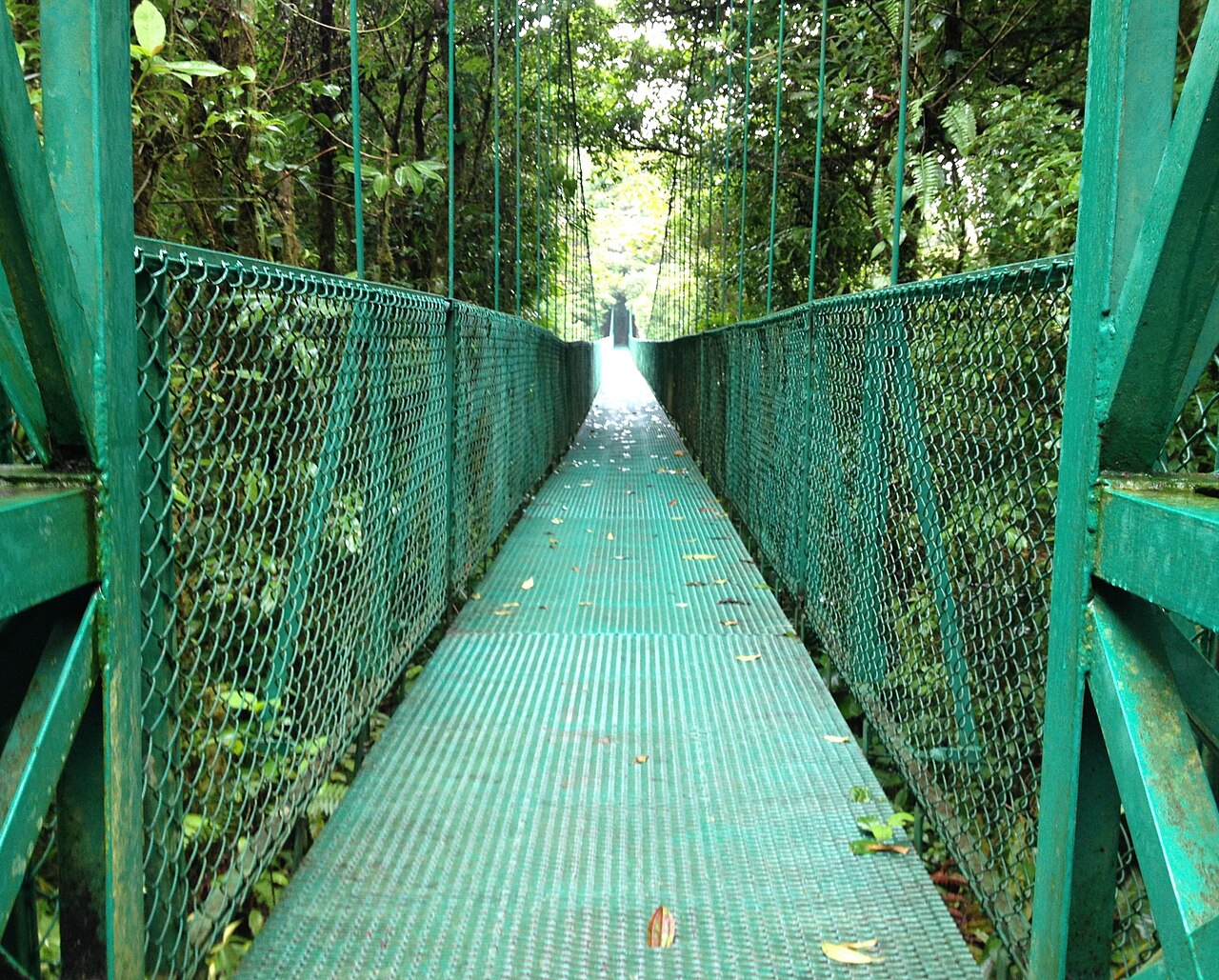 A hanging bridge through dense green forest in Monteverde’s Selvatura Park