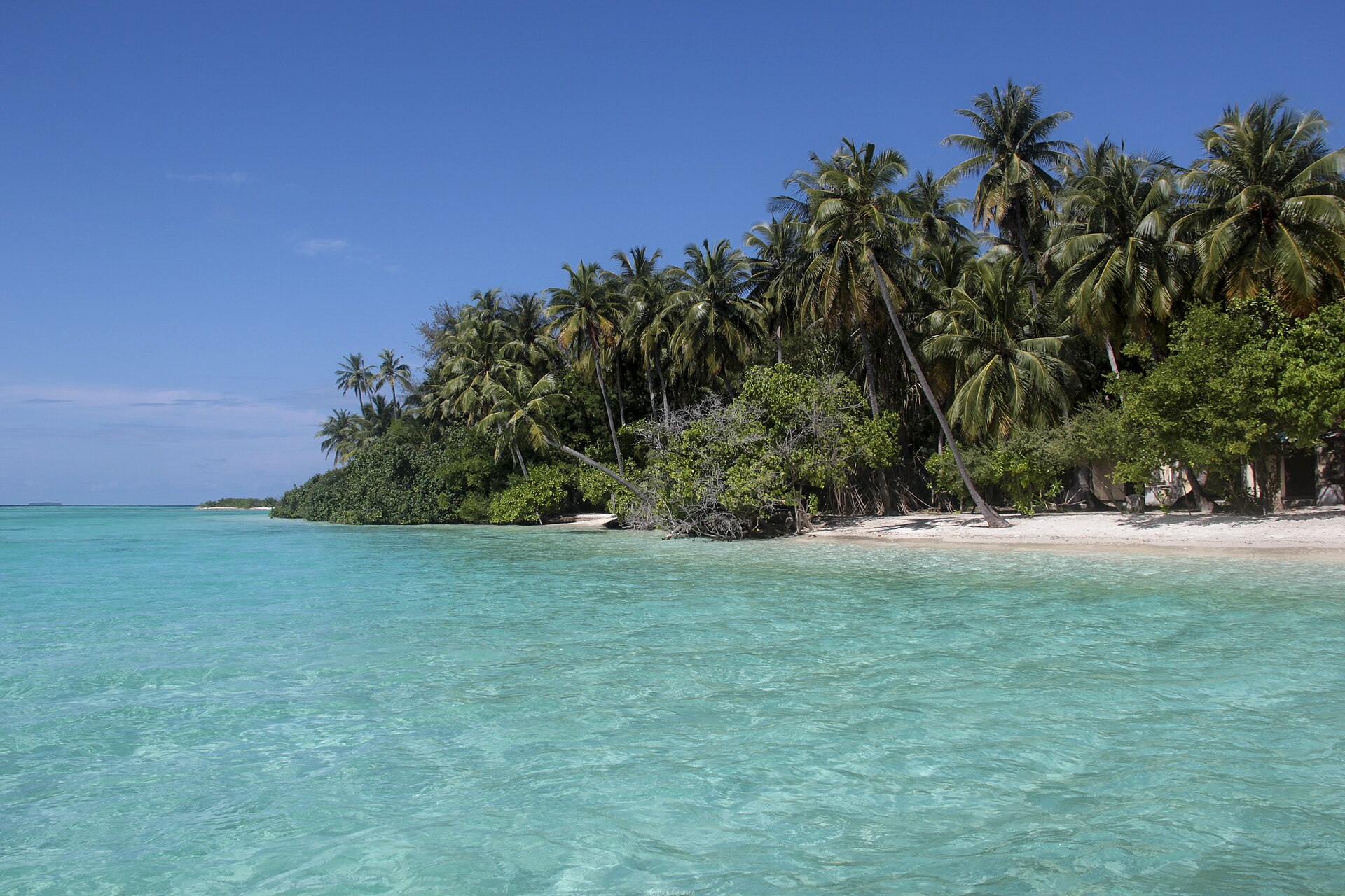 Palme e spiaggia bianca sull’acqua turchese nell’atollo di Kaafu vicino a Maafushi