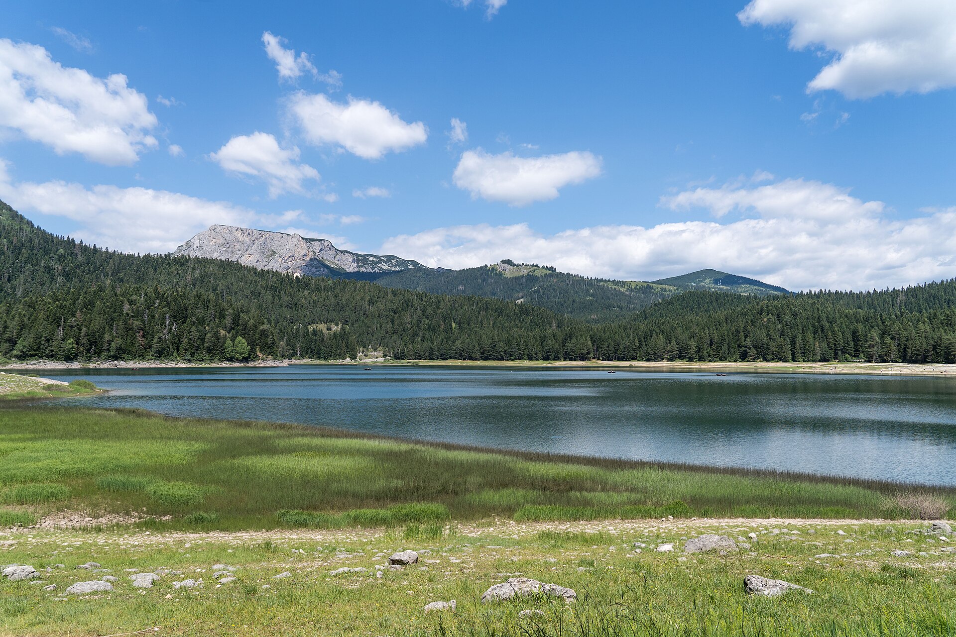 Schwarzer See mit grünem Wald und Durmitor-Bergen